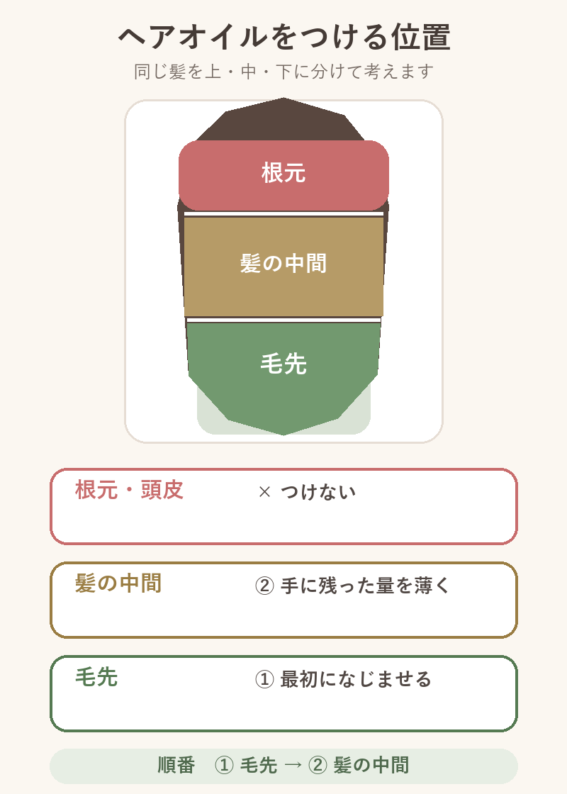 同じ毛束を根元・髪の中間・毛先に分け、ヘアオイルを毛先から中間へなじませる順番を示した図解